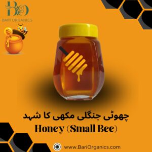 Honey Small Bee (Choti Jungle)