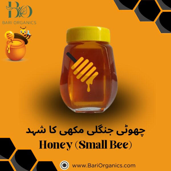 Honey Small Bee (Choti Jungle)